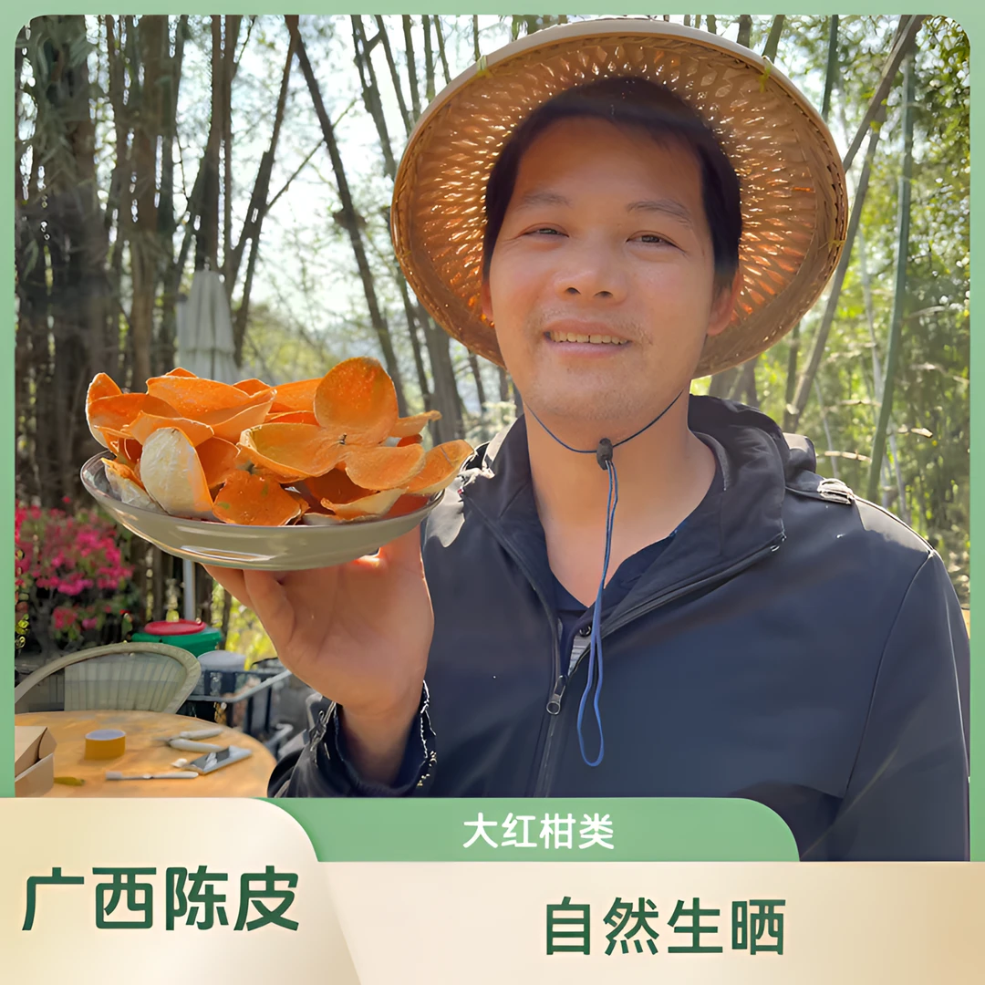广西 浦北陈皮 2024大红柑又称茶枝柑 老树陈皮原料 自然生晒500g