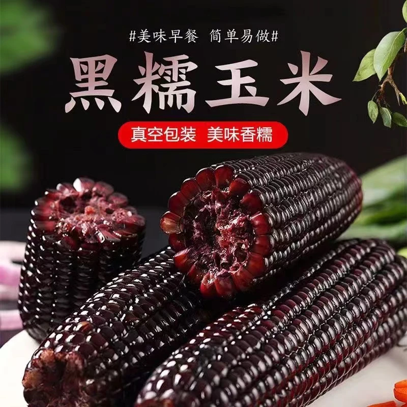【试吃2根】东北黑糯玉米今年新鲜采摘黑玉米香甜软糯12根整箱5.5斤