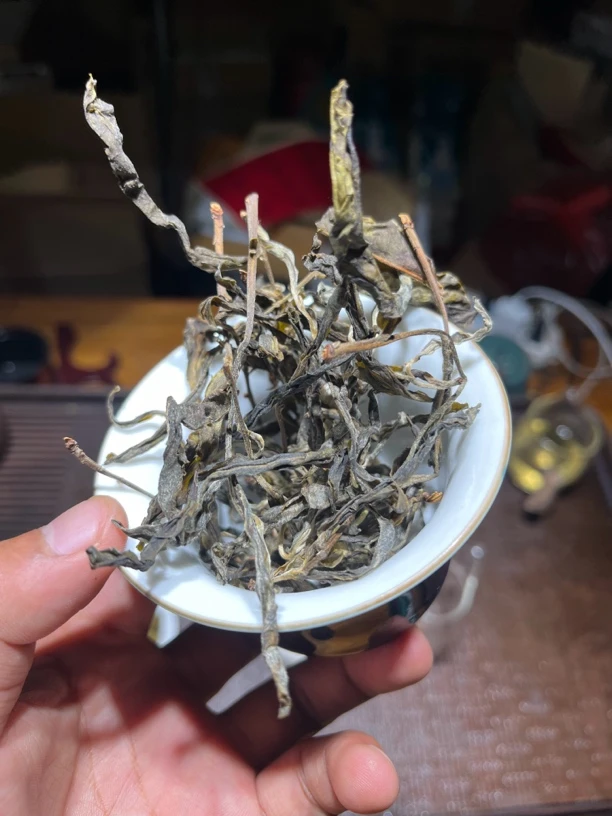 【高货中的大高货】普洱生茶散茶