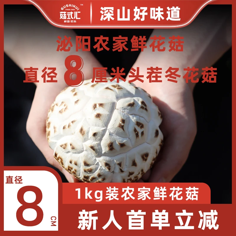 年货甄选泌阳自然花菇产品人工采摘香菇炖汤美味原产地种植1KG