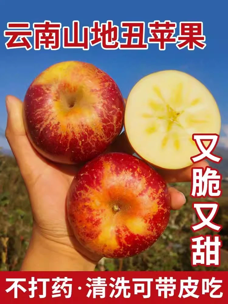 正宗昭通高山冰糖心丑苹果红富士精品脆甜多汁新鲜现摘产地发货