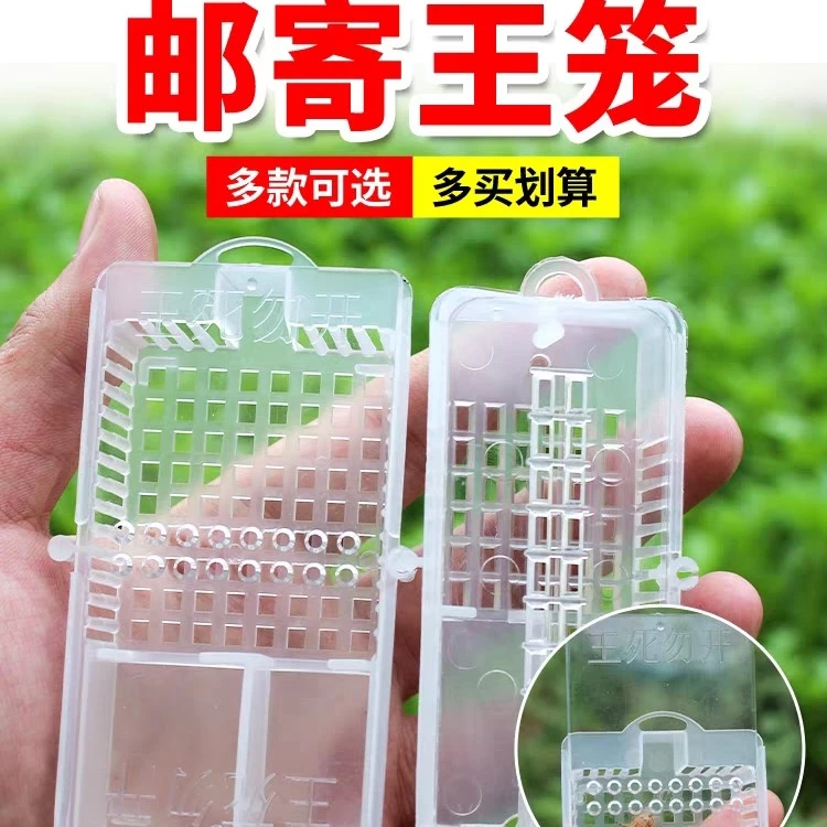 大号邮寄塑料王笼 蜂王储王器 介王笼 养蜂用具通用