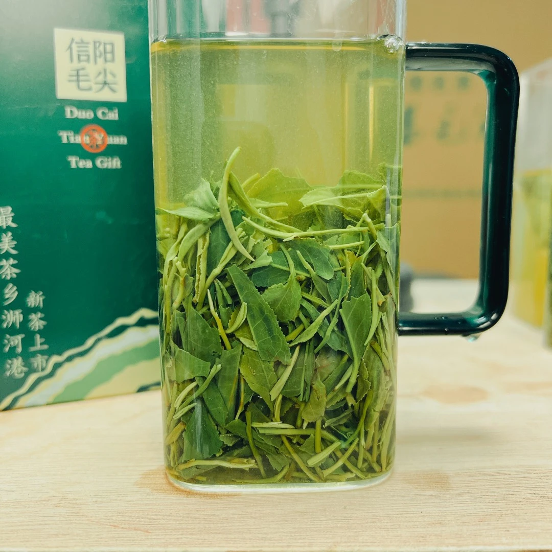 高山老旱茶 浓香栗香耐泡 2024年信阳毛尖春尾口粮茶