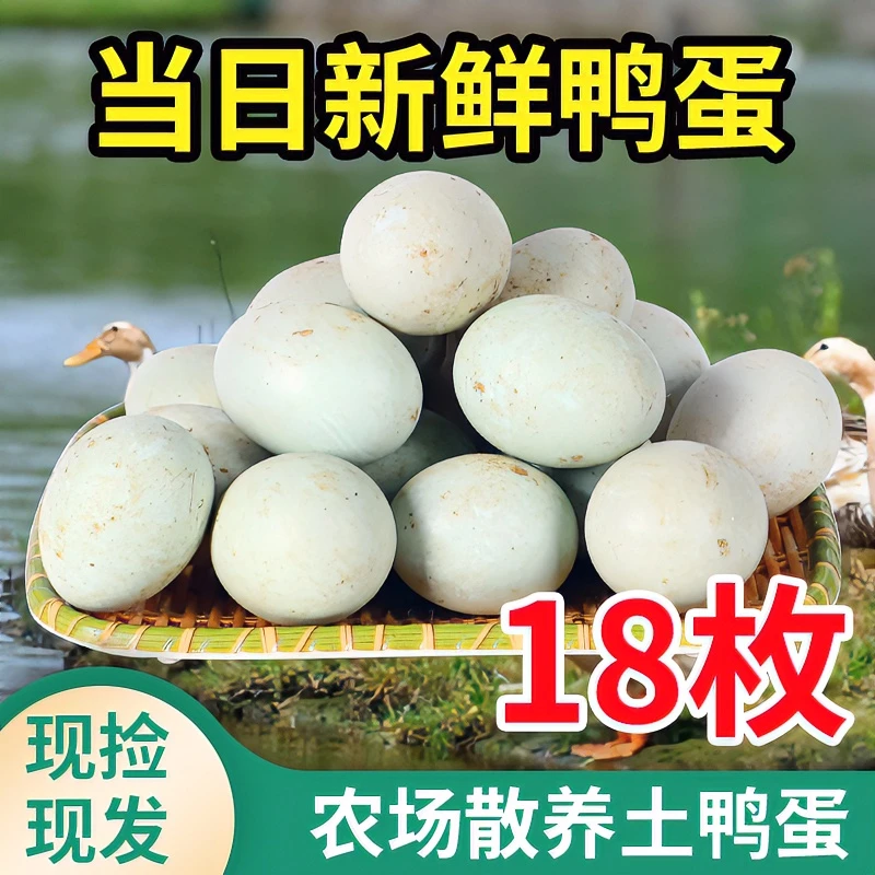 【现捡现发】正宗土鸭蛋农家散养新鲜与农同行自家鸭子蛋生鲜蛋50g