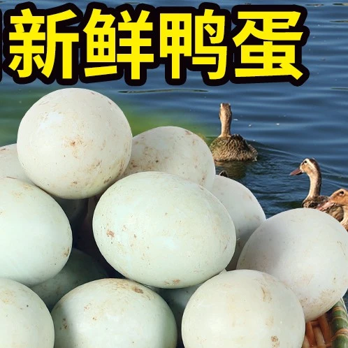 蛋总专属现捡现发农家散养土鸭蛋新鲜品质好40-60g高山散养土鸭蛋