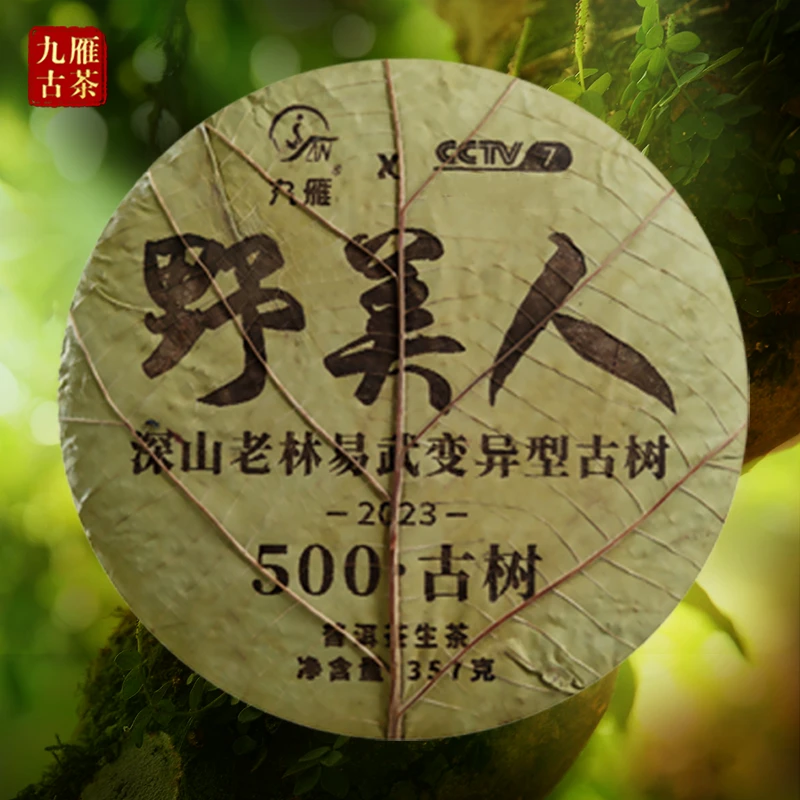 九雁 2023深山老林易武变异型野美人古树茶357g