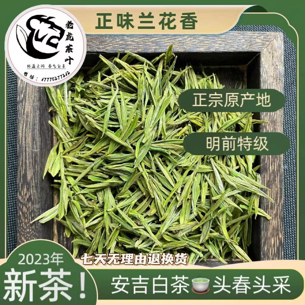 2023年头春头采明前【特级】安吉白茶昆铜核心产区兰香小芽