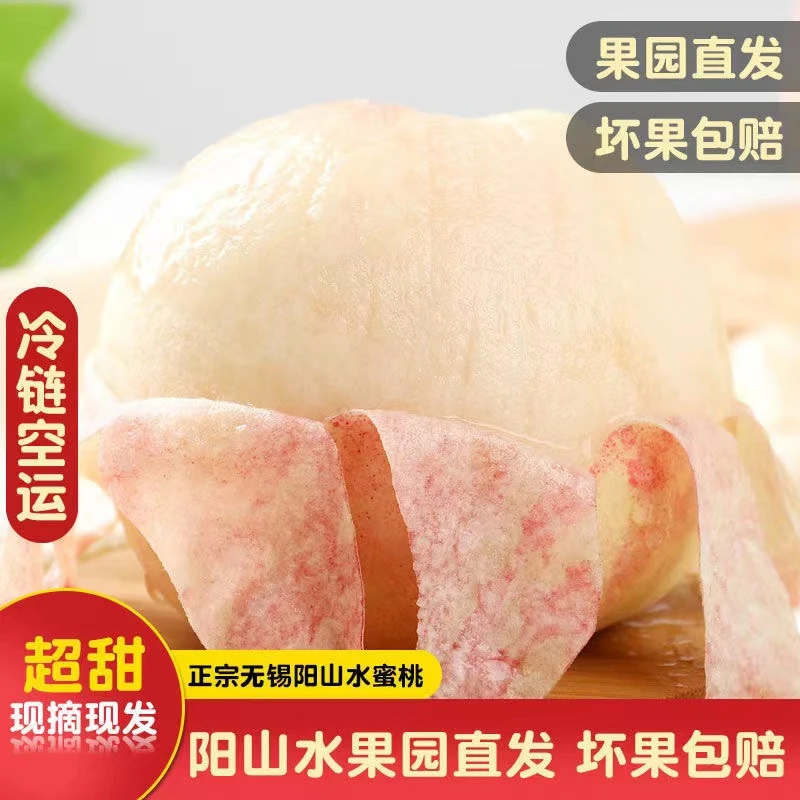 戴阿姨阳山水蜜桃礼盒6-7两6个装 朝阳日川金红 新鲜采摘果园直发