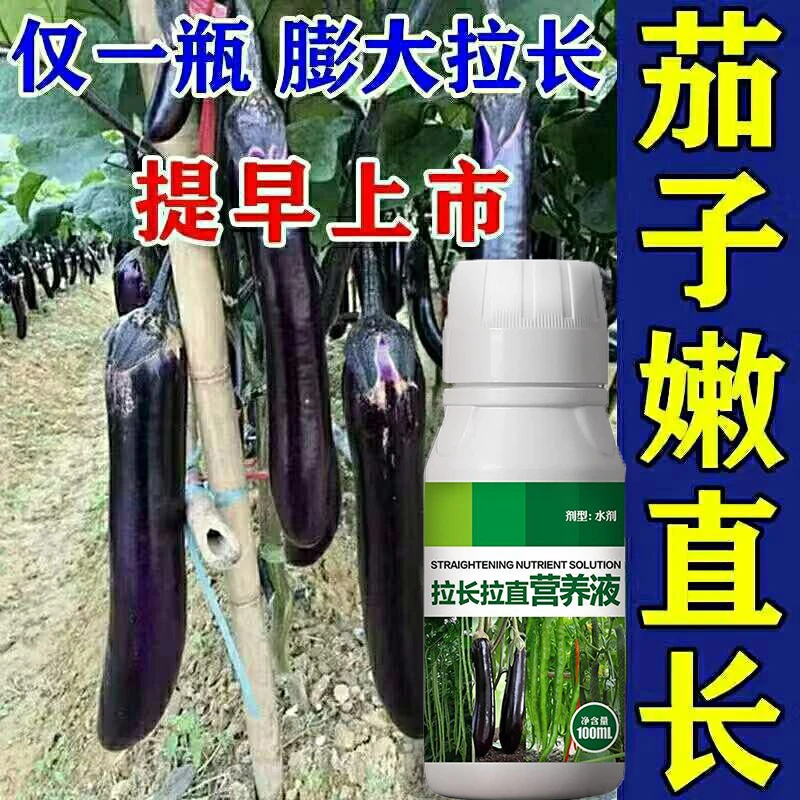黄瓜拉直素素辣椒黄瓜豆角茄子专用拉直拉长膨大素氨基酸叶面肥