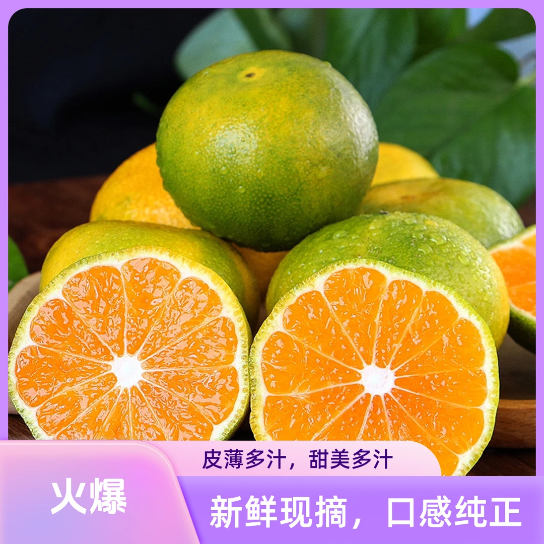 汉中城固蜜桔现摘无籽青皮蜜橘新鲜应季多汁水果
