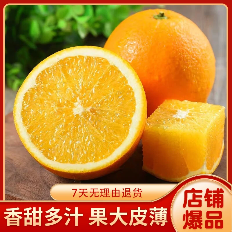 桂林高山优选夏橙当季新鲜水果现摘度假榨汁优选橙子5斤/9斤酸甜