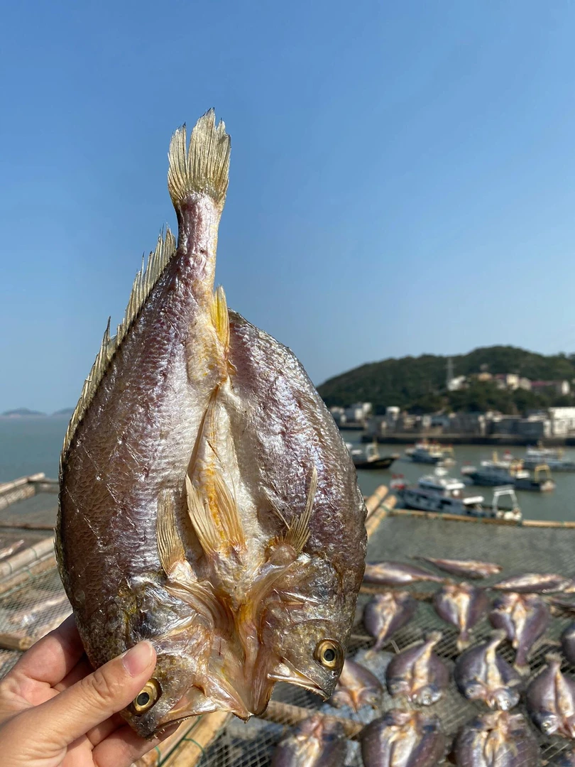 温州特产风干鱼干黄鱼鲞黄花鱼海鱼海鲜干货鱼鲞咸鱼大黄鱼