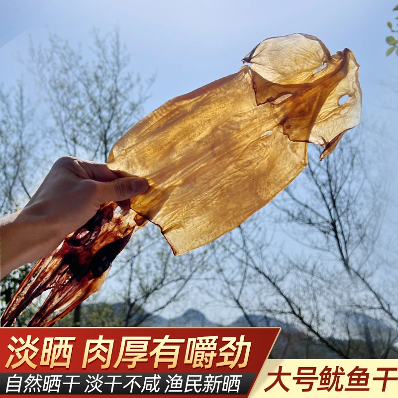 新晒淡干无盐鱿鱼干鱿鱼家用煲汤炒菜需泡发 无密集点点干度足