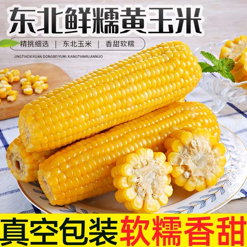 【到手10根】280g-320g/个 6斤装东北黄糯糯玉米塑封包装甜糯香甜