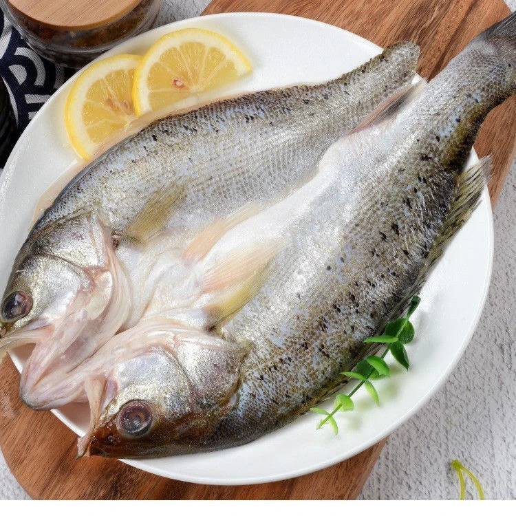 海鲈鱼（600-700g）每袋开背新鲜冷冻鲜活深海鱼蒜瓣七星鲈鱼半成品