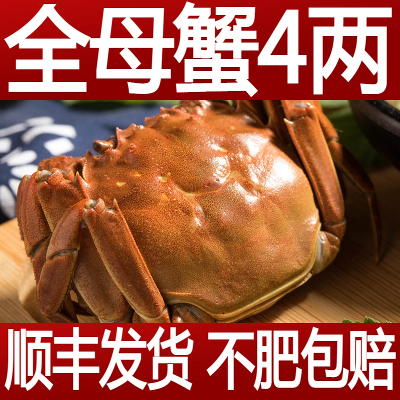 活蟹现货4两全母蟹6只大闸蟹鲜活螃蟹洪泽湖河蟹礼盒发货养殖饱满