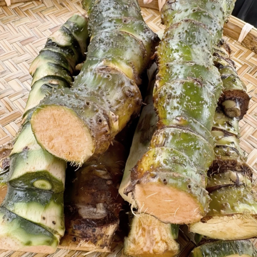 1斤【簕茨菇】深山密林野生靓货
