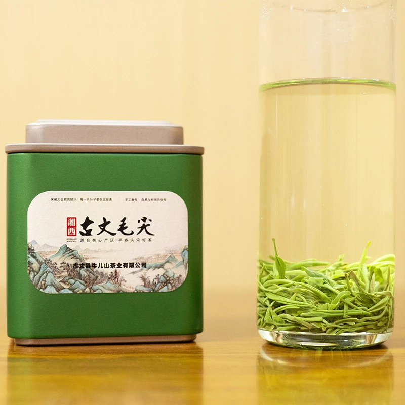 2024湘西古丈毛尖明前新茶