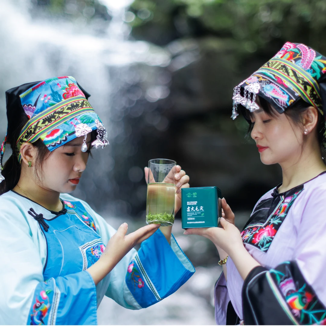 牛儿山茶业古丈毛尖2023年新茶，古丈原产地口粮毛尖一罐装