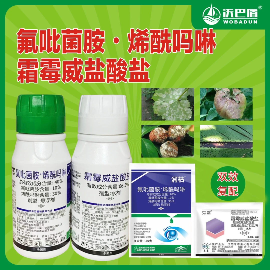 氟吡菌酰胺霜霉威盐酸盐66.5%霜霉病低毒含量促进农作物生长农用