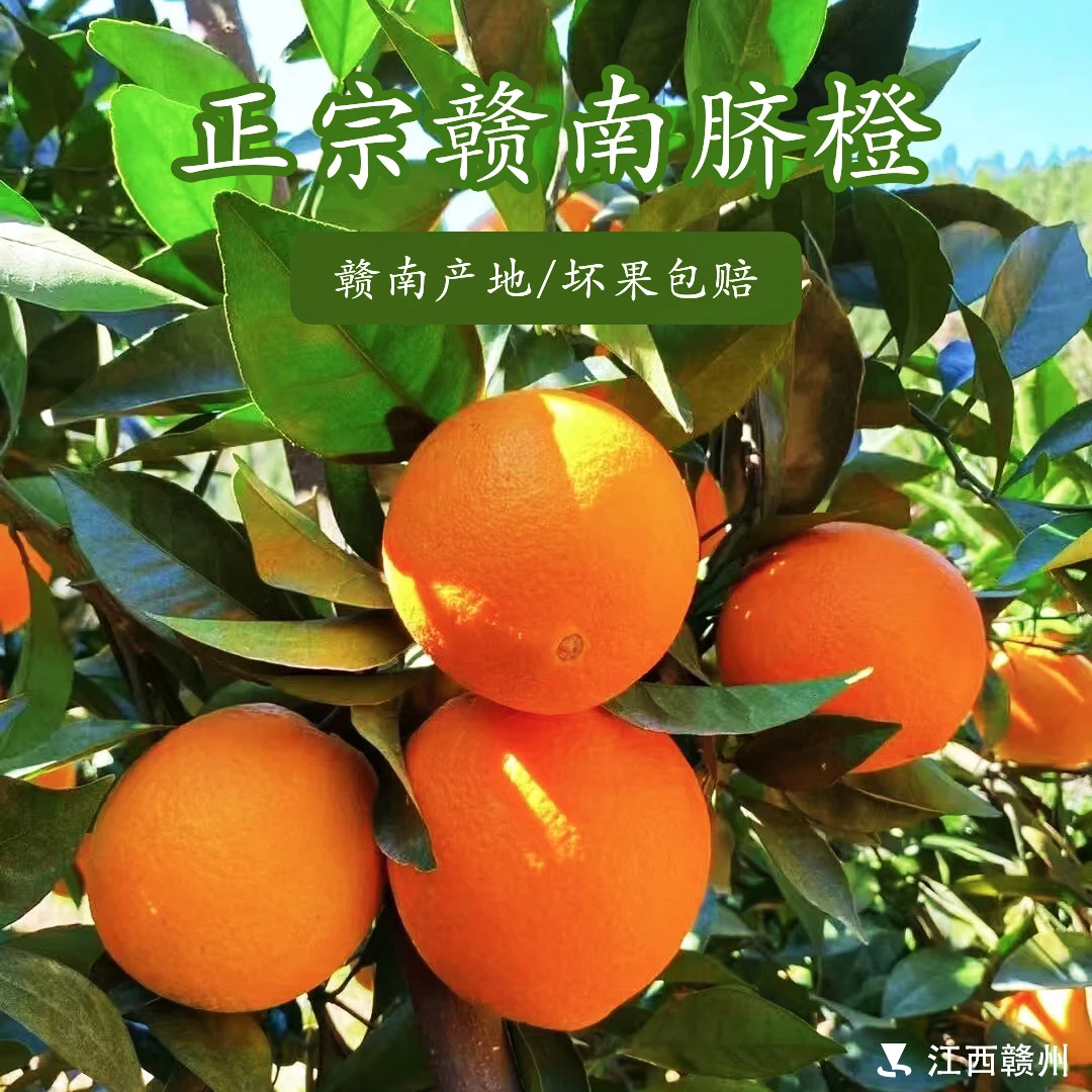 江西赣南脐橙新鲜现摘孕妇水果10/20斤装精品果王【果园直发】