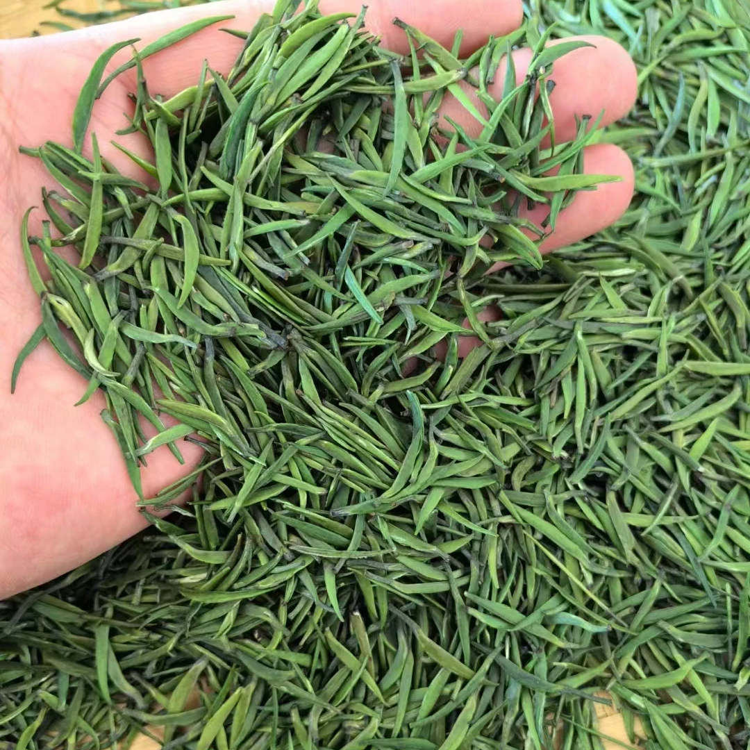 2025新茶贵州雀舌特级明前春茶头春小米芽浓香型湄潭芽茶