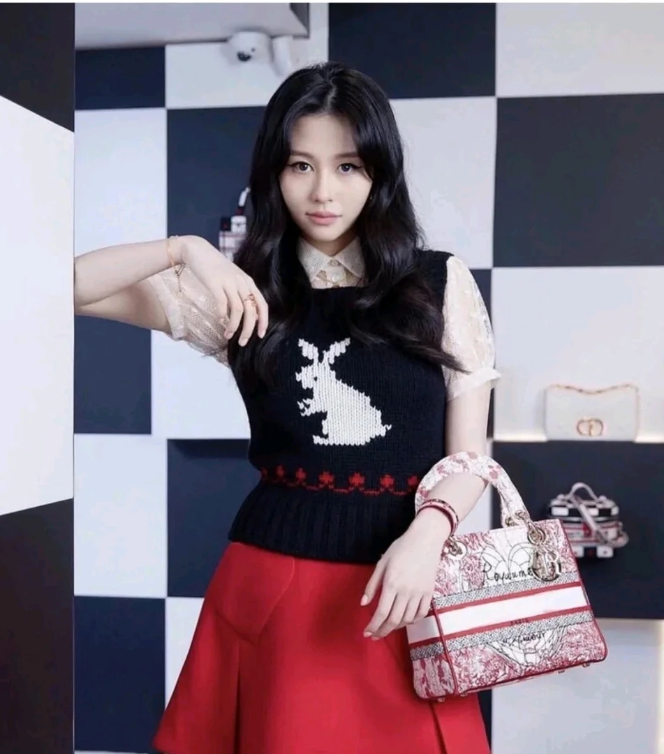 10251 dior 迪奥 兔子针织马甲 36码 公价8751 无配件 95新