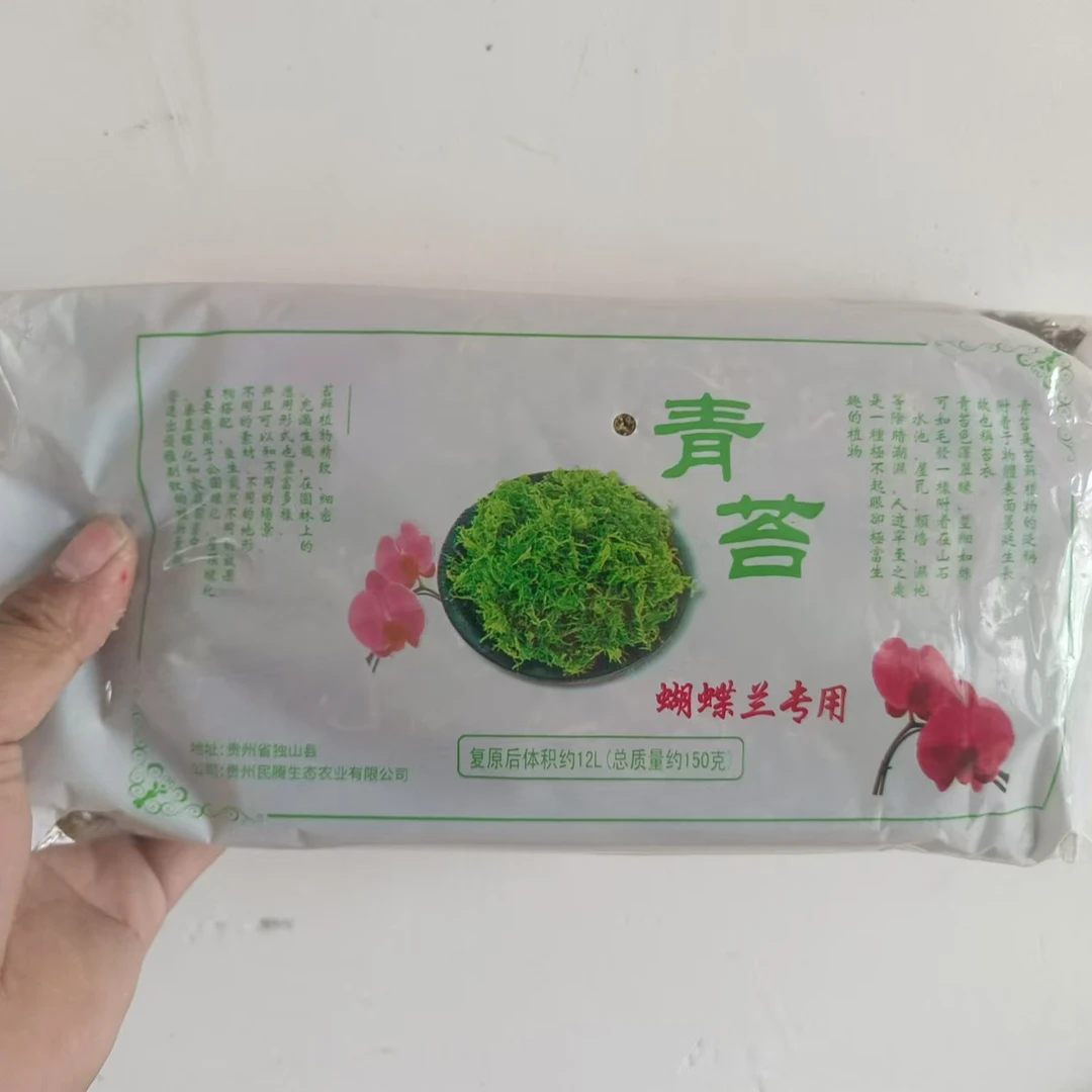 蝴蝶兰——专用水苔