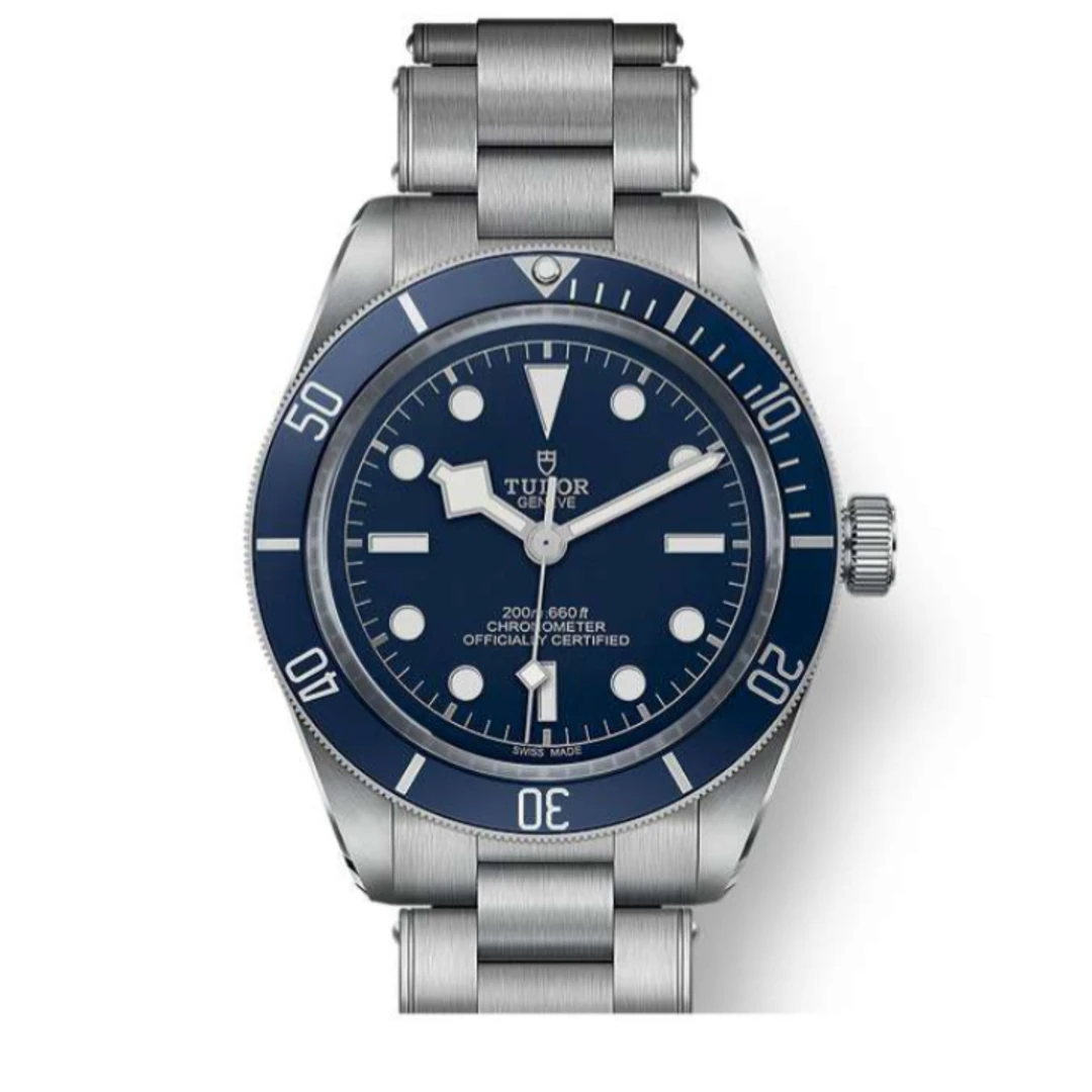 99新 TUDOR/帝舵 帝舵/碧湾系列 M79030b-0001 23年全套