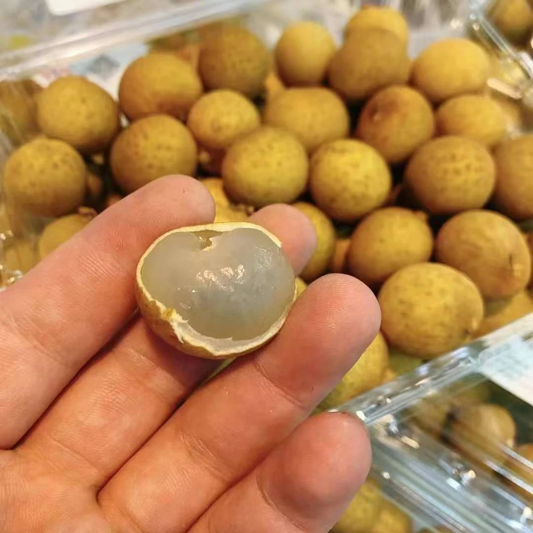 【金果源鲜龙眼】1000g/盒装，果汁丰富甜蜜，核小肉厚！