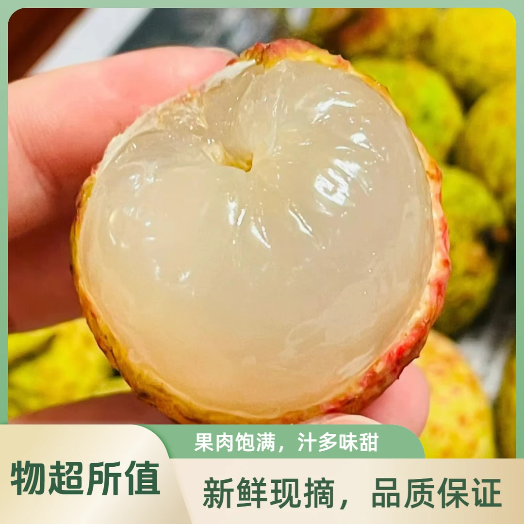 合江观音绿荔枝细嫩汁甜带清香味顺丰冷链川渝包邮