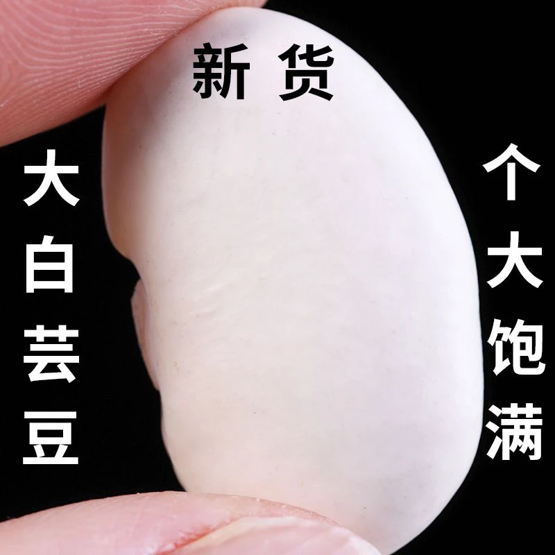 新货大白芸豆散装 新鲜煲汤大白豆大雪豆