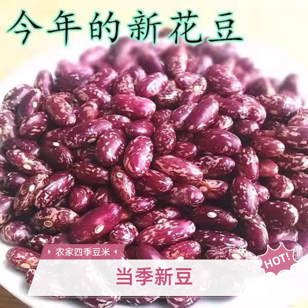 农家四季豆米酸菜豆米花腰豆芸豆花芸豆饭豆大红芸豆五谷杂粮