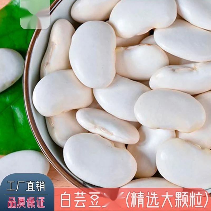 白芸豆大白豆大雪豆云南农家自种大白豆杂粮粗粮大豆大白芸豆