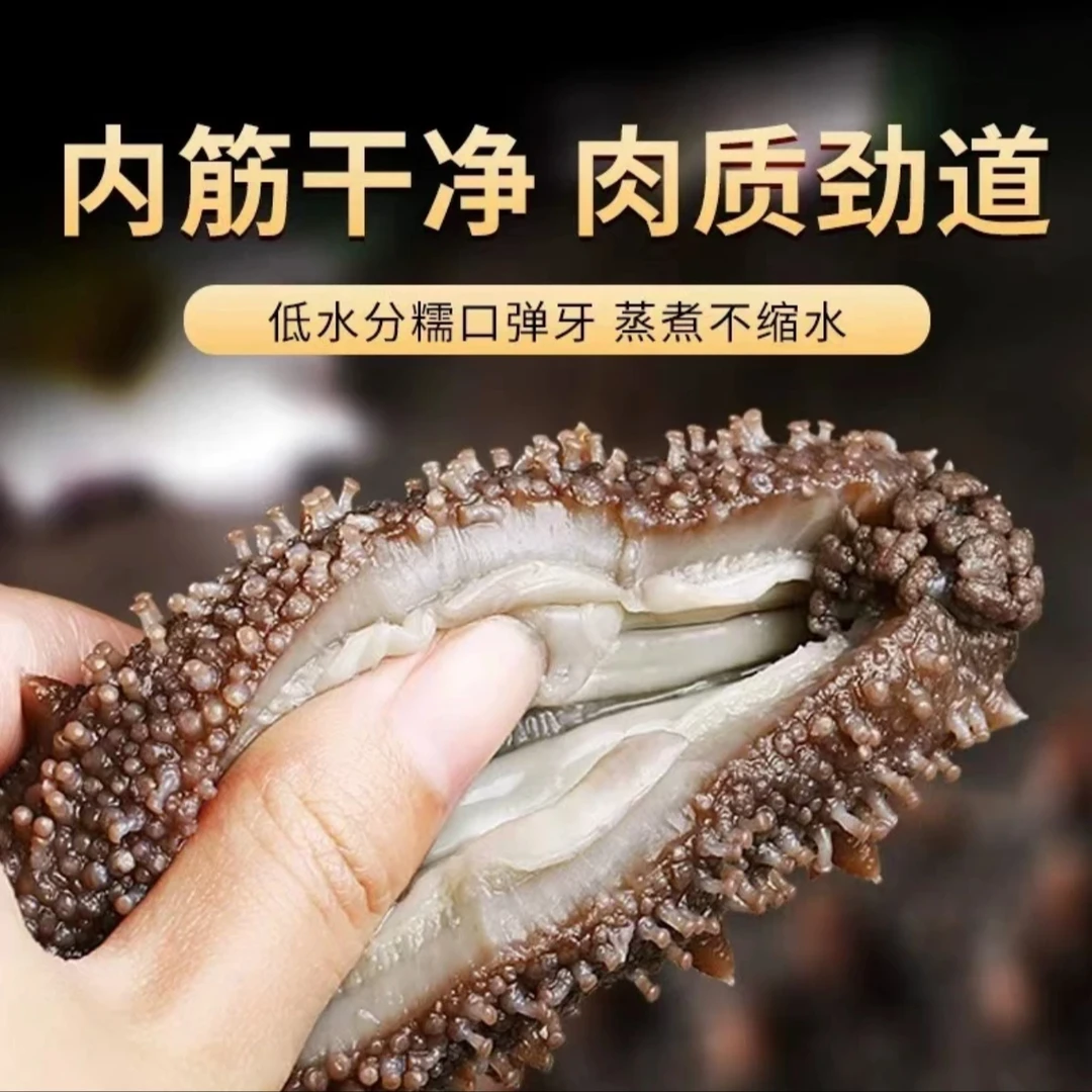 鲜食海参 一斤装 大连鲜食海参 一斤16-18头左右 鲜食即食海参