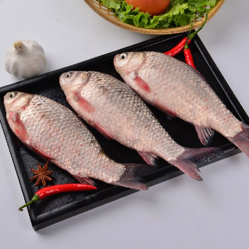 查干湖有机大鲫鱼      一箱十斤多条，单条二两以上