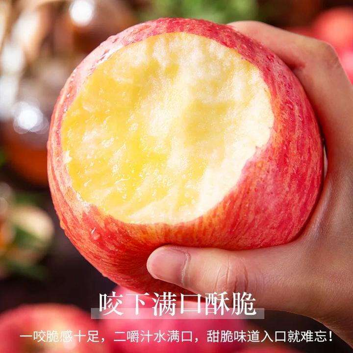 陕西洛川红富士自然当季现摘发货水果冰糖心丑苹果