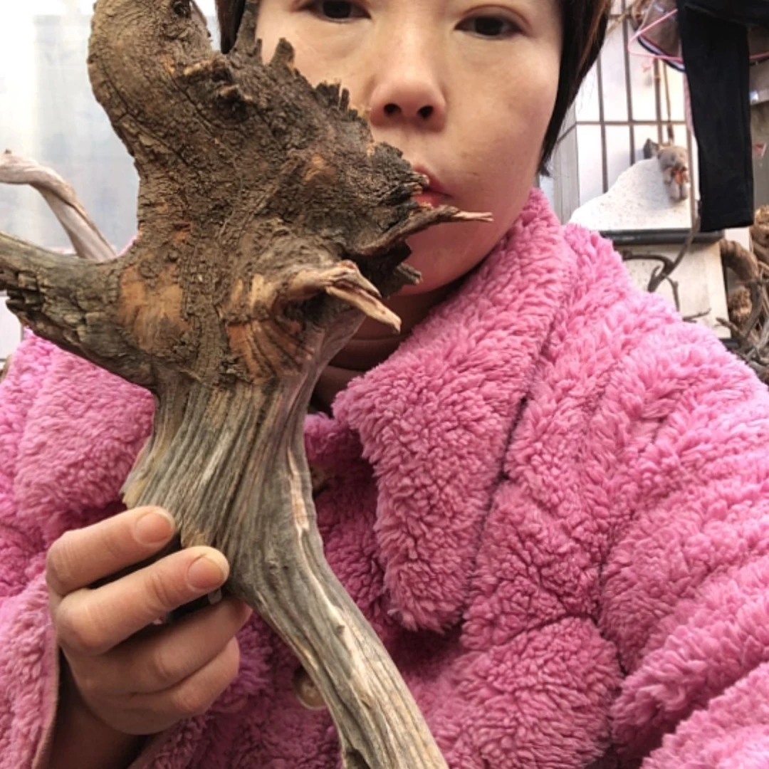 【闪购商品】木质根雕西**牛