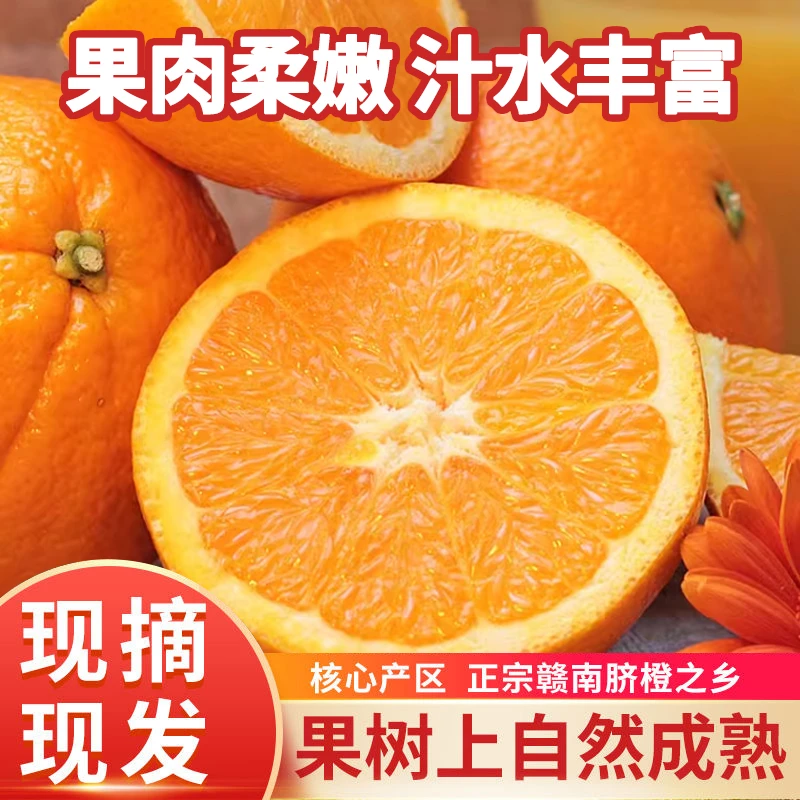 正宗江西赣南脐橙5-10斤装应季水果橙子原产地新鲜采摘酸甜爆汁