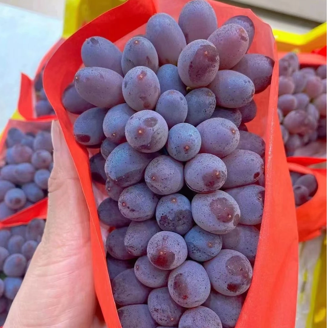 茉莉花香云南葡萄1.5斤筐装（约3-4串）云南省