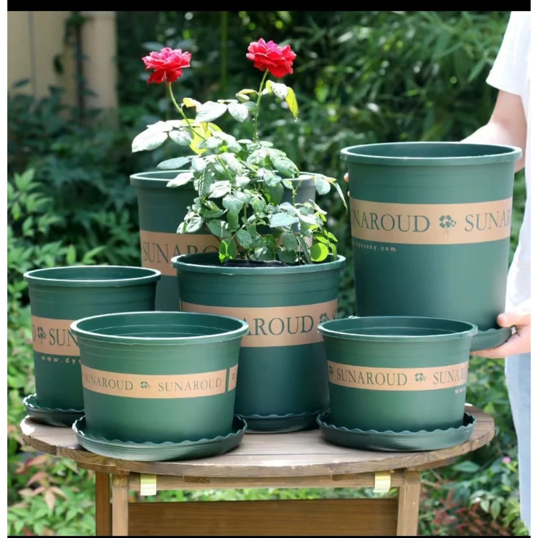 【龙年大促】批发绿萝小盆栽托盘特大号加仑盆树脂多肉花盆耐用简约