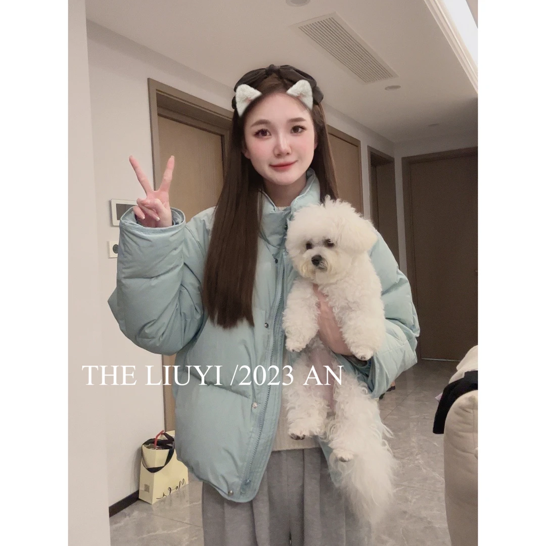【LIUYI】软欧包~冬季90白鸭绒羽绒服39191
