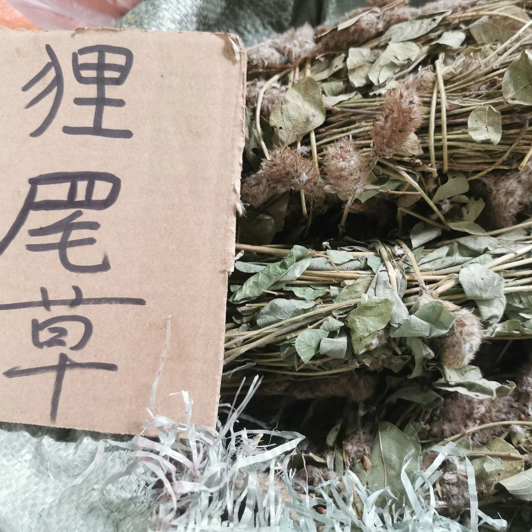 广东狸尾草天然野生羊咩香自然嗮干无硫干货煲水煲汤养生中草药
