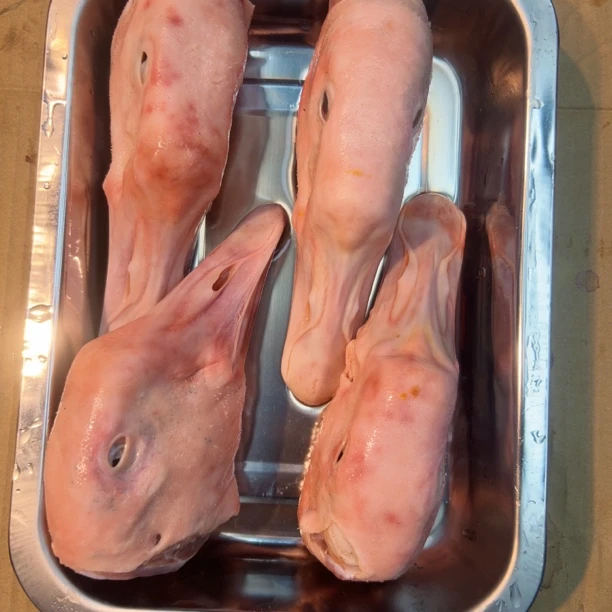 东北雪地大鹅改价链接