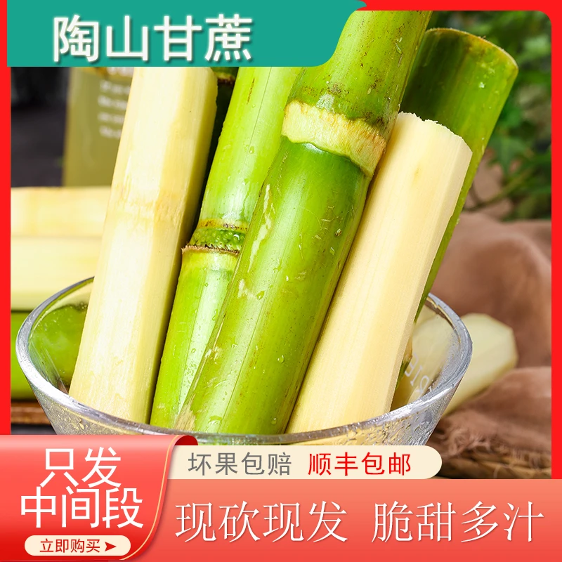 陶山青皮甘蔗现砍现发 精品无水裂 孕妇水果 一个果节两段果肉