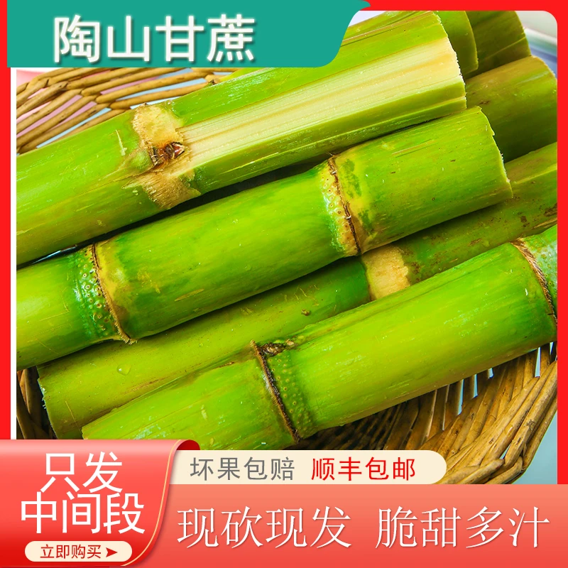 陶山青皮甘蔗 5斤整箱 实惠装两个果节  脆甜多汁 顺丰京东