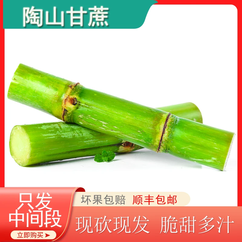 青皮甘蔗 脆甜爽口 陶山甘蔗 京东顺丰包邮 精品装两个果节