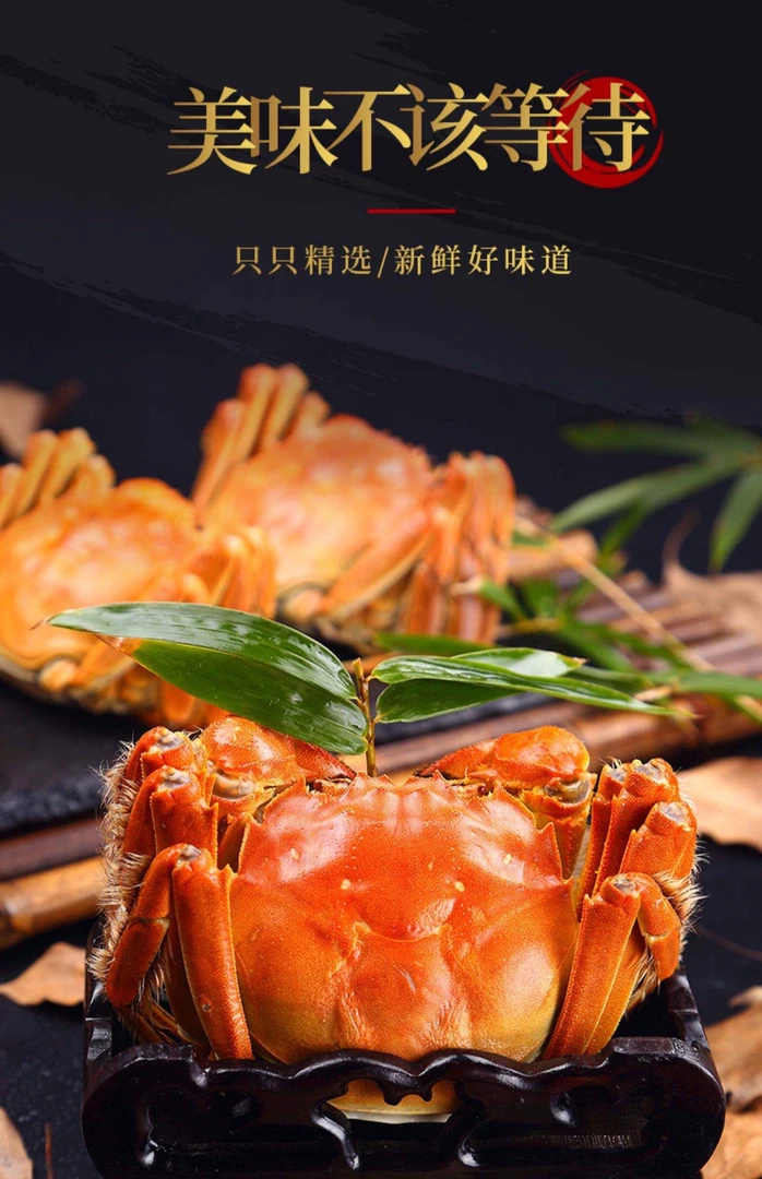 江苏蟹3两母蟹8装送2只