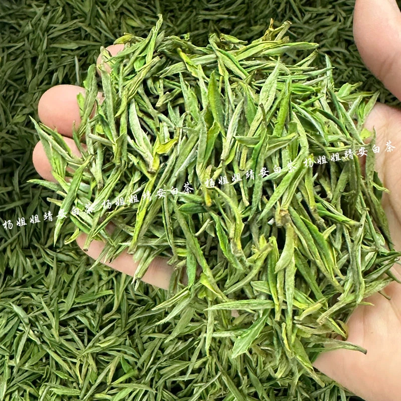 2025新茶靖安白茶江西特产绿茶春茶高山云雾茶高海拔绿茶50克