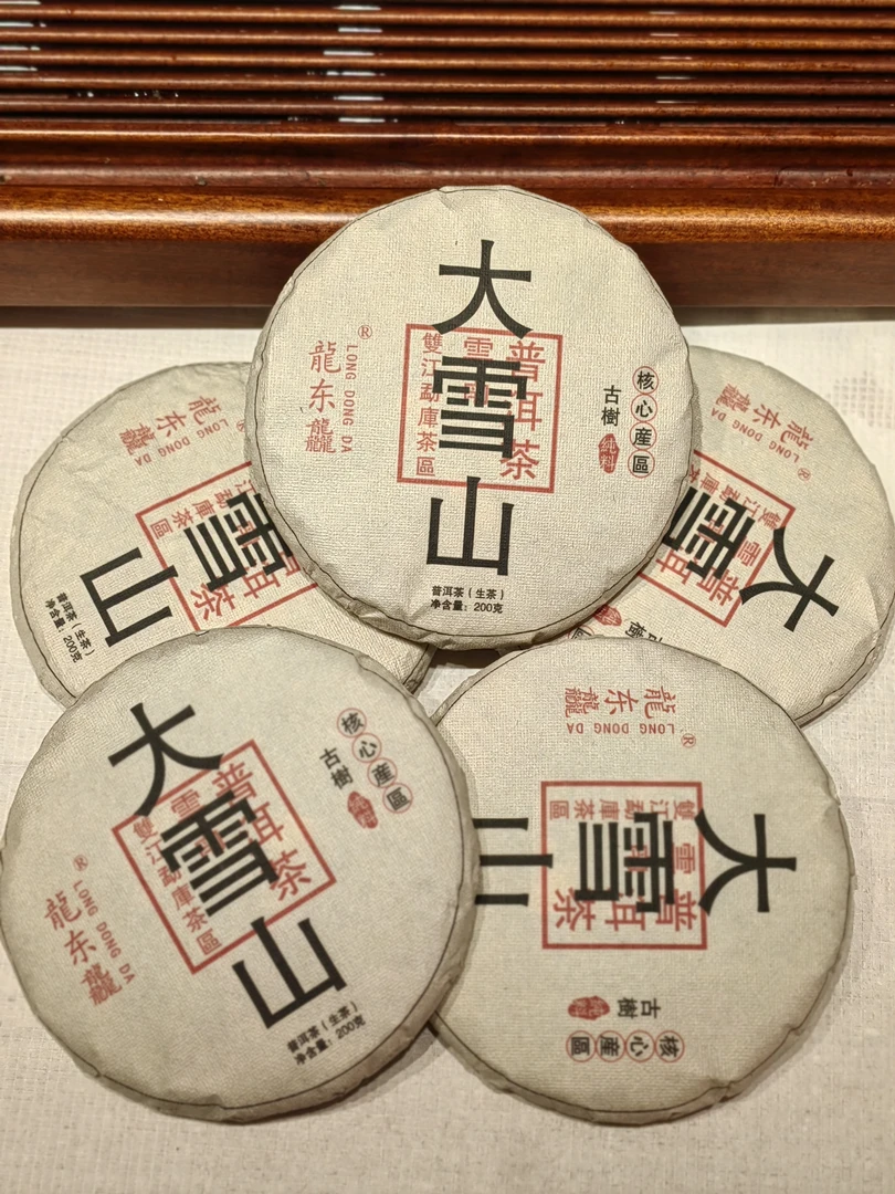 2024大雪山古树春茶饼茶